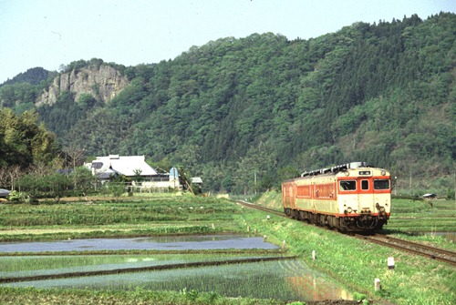 shimo-3