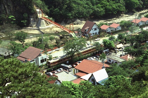 yam-2