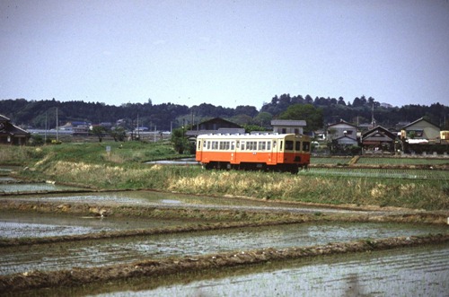 hama-3