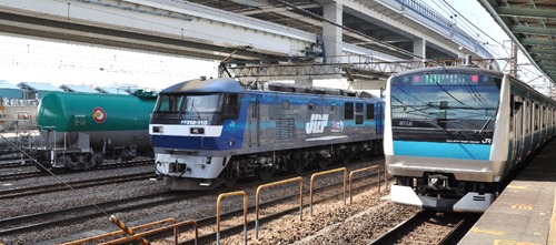negishi-1