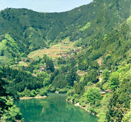 71-tamagawa
