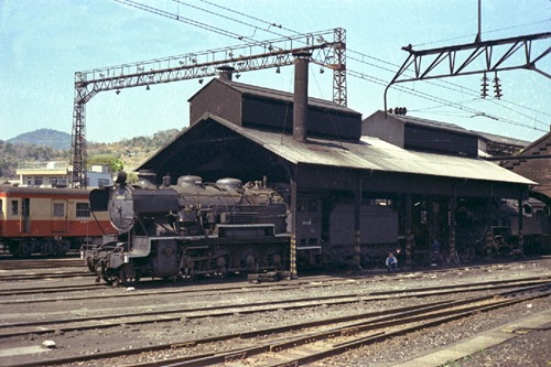 kyu-4