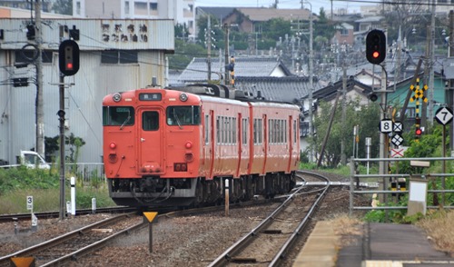 knn-1