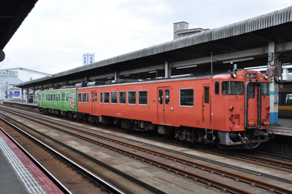 tori-8