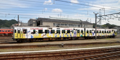 yng-6