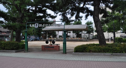ttr50