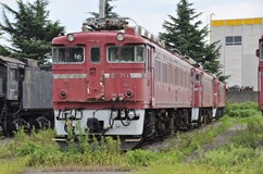 rifu-13
