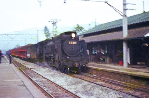 seba-D51