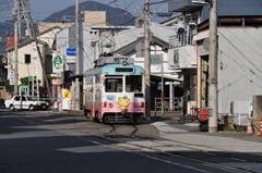 TDino-04