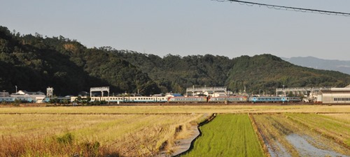 kcn-01